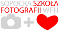 Oficjalna koszulka SSF-WFH - wzór 01