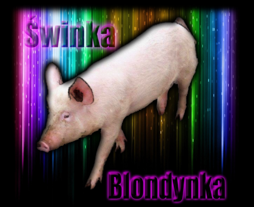 Świnka - tęcza