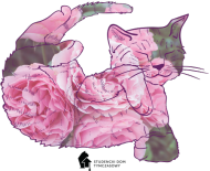 Kubek - kotek w róże