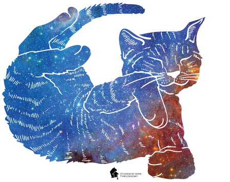 Kubek - kotek w kosmos 2
