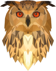 QTshop - SOWA owl bokserka damska wszystkie kolory