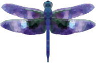 QTshop - WAŻKA dragonfly dziecięca wszystkie kolory