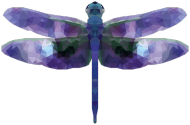 QTshop - WAŻKA dragonfly kubek jednostronny