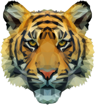 QTshop - TYGRYS tiger bluza damska wszystkie kolory