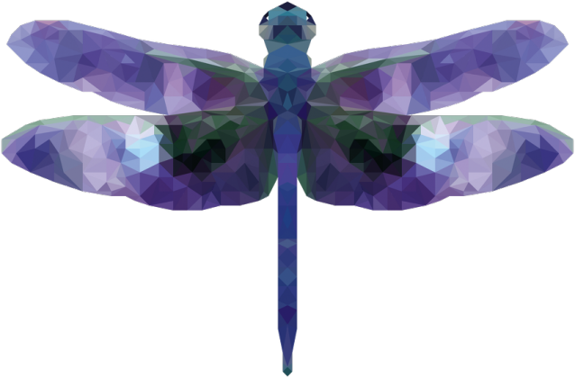 QTshop - WAŻKA dragonfly torba wszystkie kolory