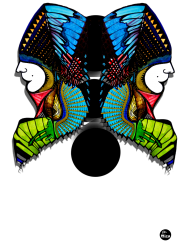 motyl larwa - kompozycja dla pań