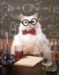 Chem Cat 1b