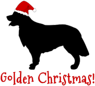 Śpioszek świąteczny - Golden Retriever