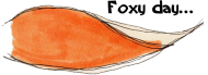 Kubek Foxy