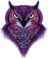 Spoczito Owl