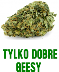 Bluza z Kapturem (Biała) - Tylko Dobre Geesy