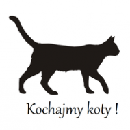 Kochajmy koty