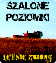 Letnie Zbiory biała męska