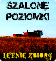 Letnie Zbiory czarna wersja 1 męska