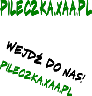 Torba Uniwersalna na Zakupy Pileczki!