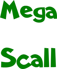 MegaScall - koszulka 1