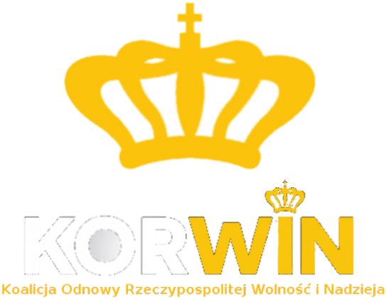 Koszulka #1 D