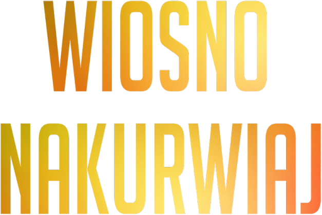 T-shirt wiosna white