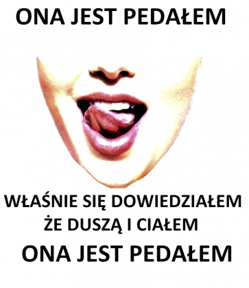 T-shirt męski ,,Elektryczne Gitary - Ona jest pedałem "