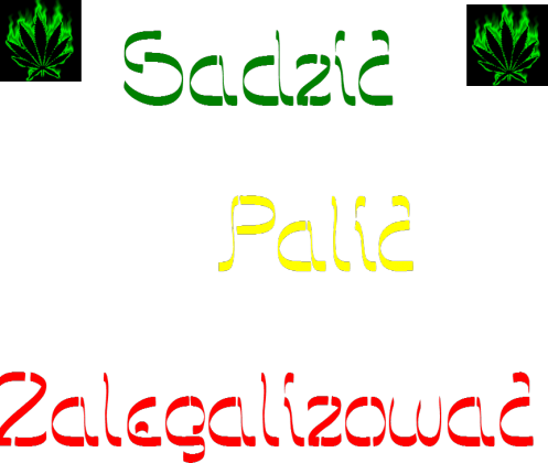 bluza sadzić palić zalegalizować