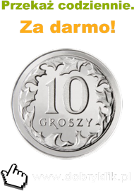 Koszulka DobryKlik.pl