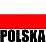 Koszulka damska z flagą i napisem