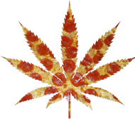 weed pizza :-)
