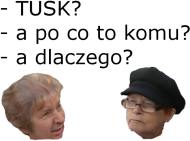 TAA - biała damska