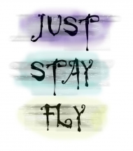 Just Stay Fly