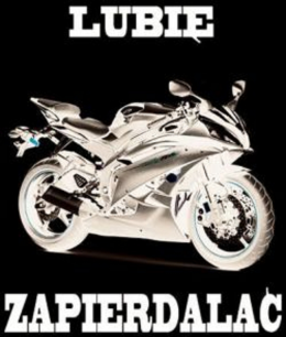 Koszulka " Lubię Zapierdalać "