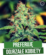 Preferencje