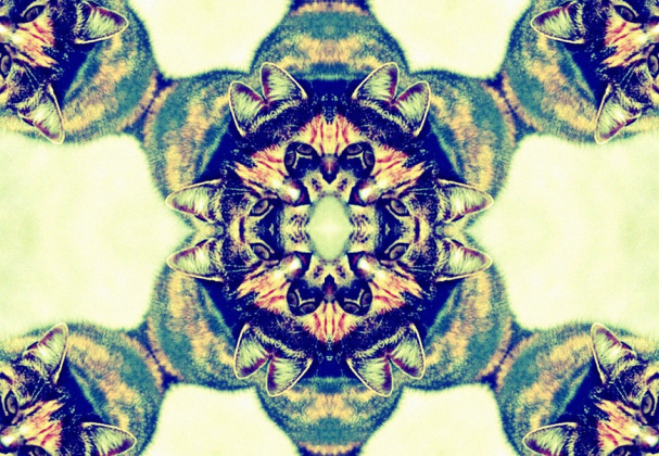 greencat kaleidoscope