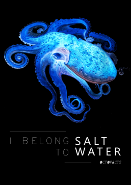 Koszulka Octofacts - I belong to saltwater