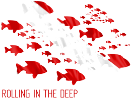 bluza nurkowa rolling in the deep