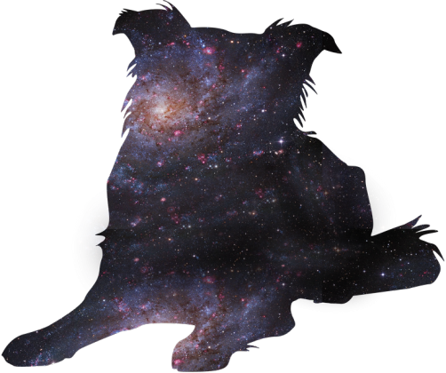 Galaxy dog