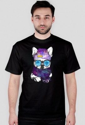 Pies Hipster - TwojePsy.pl