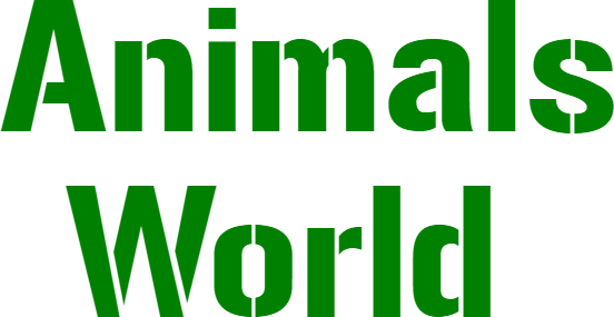 Animals World