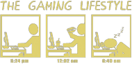 THE GAMING LIFESTYLE