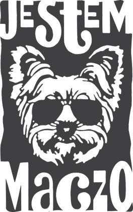 york maczo