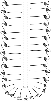 Żabot