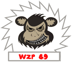 KOSZULKA WERKA