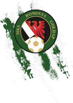 Rominta Gołdap pasy biało zielone męski t-shirt