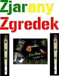 Zjarany Zgredek