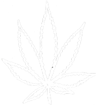 Bluza Marihuana