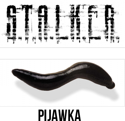 Stalker pijawka