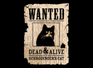 Schrodinger Cat Kot Dead Alive