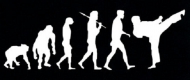 Ewolucja - karate