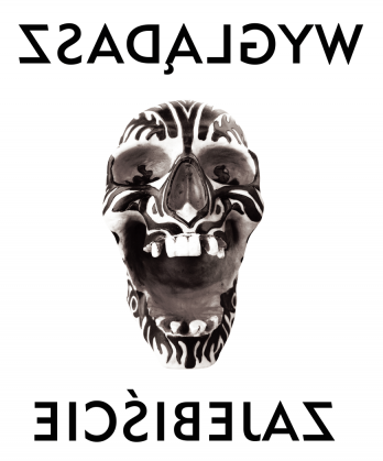koszulka dla "lustrzaków"