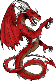 Koszulka męska DRAGON