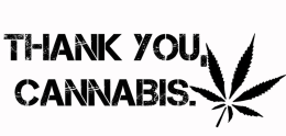 thank you cannabis
